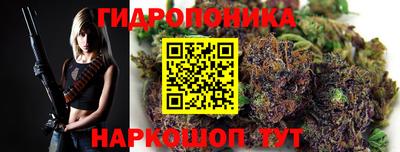 скорость Бийск