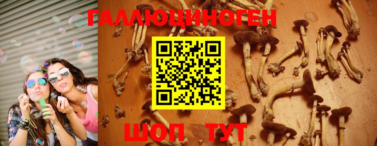 XTC  Нягань  Продажа наркотиков  Меф  Плюхи  МДМА  Конопля  КОКАИН  Вход с VPN 